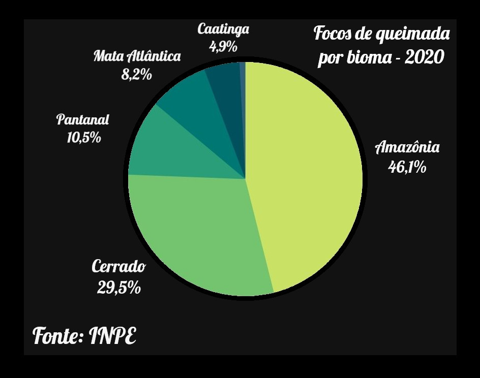 Gráfico 1