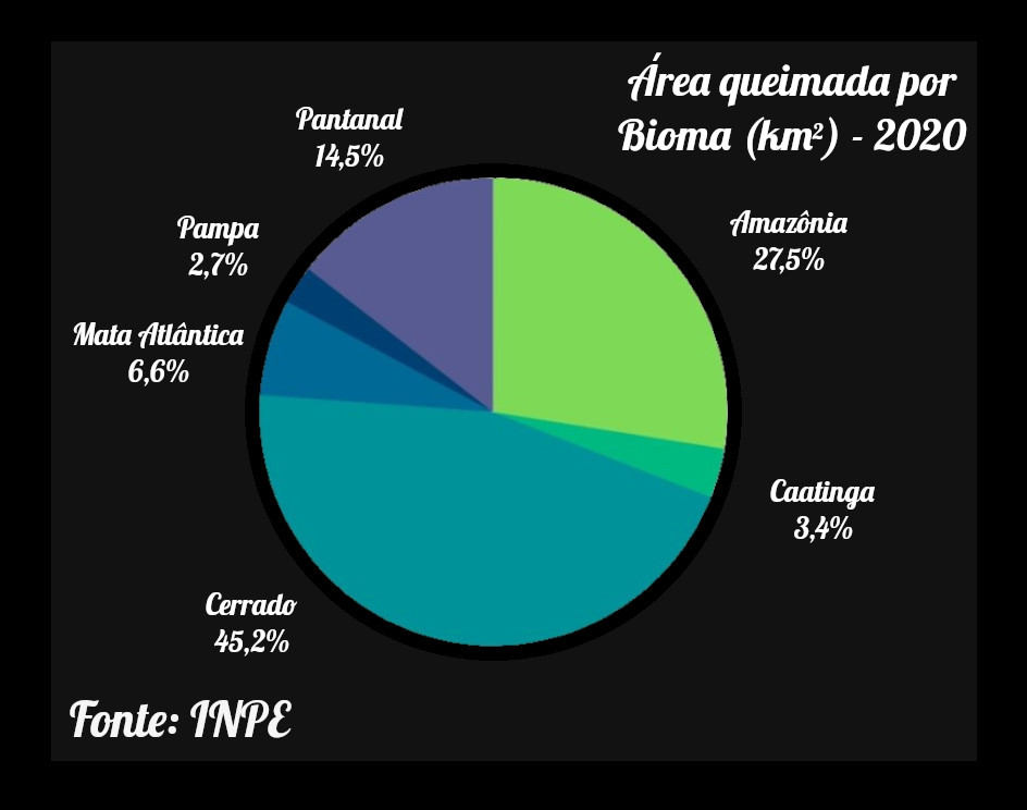 Gráfico 2