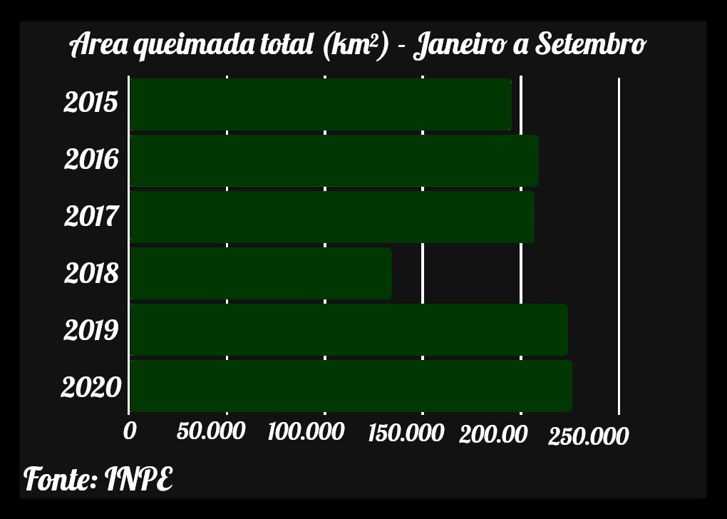 Gráfico 3