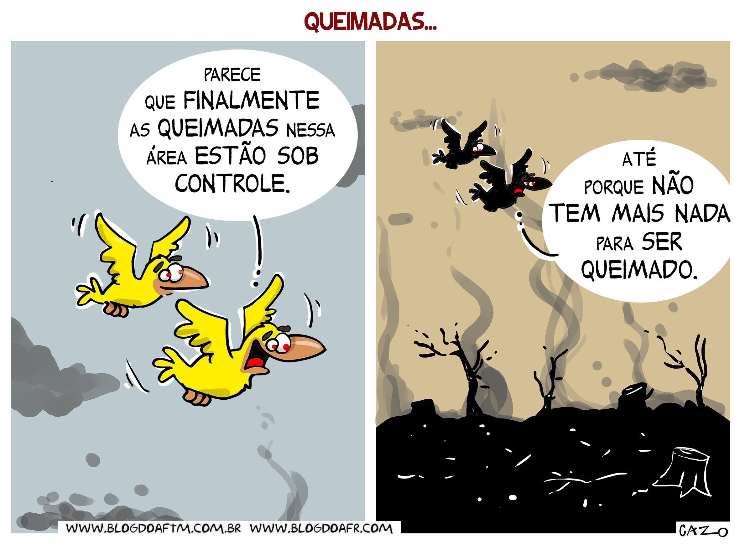 Quadrinhos críticando as queimadas criminosas.